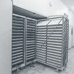 RF Refrigeração Produto Túneis de Congelamento